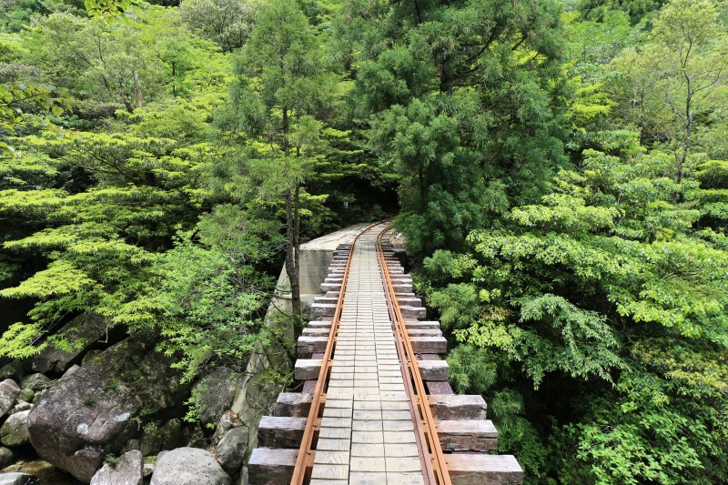 トロッコ道